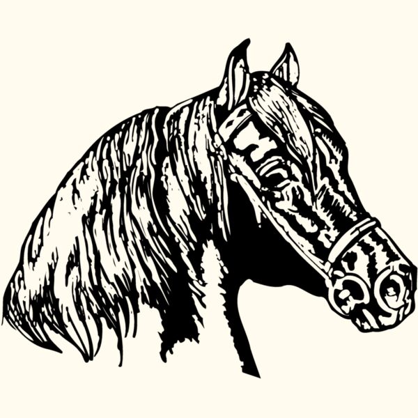 HORSE002 Thumbnail