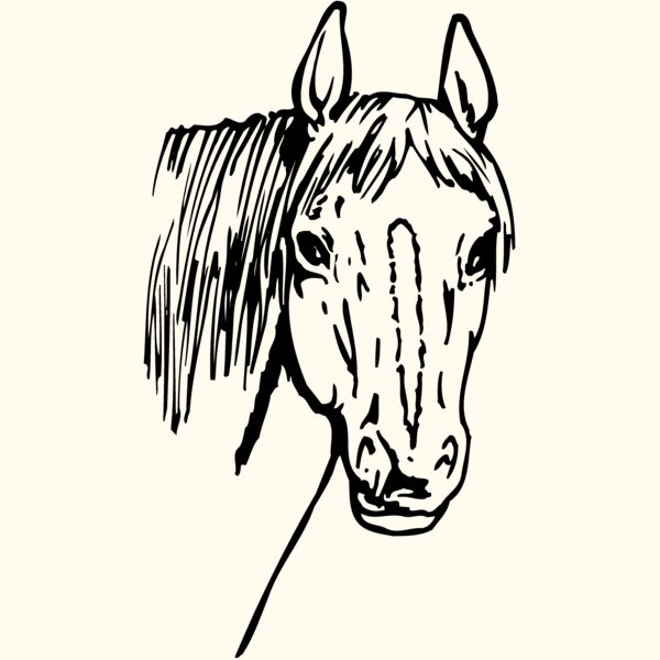 HORSE003 Thumbnail