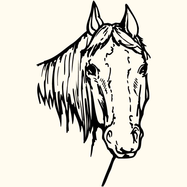HORSE004 Thumbnail