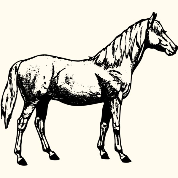 HORSE013 Thumbnail