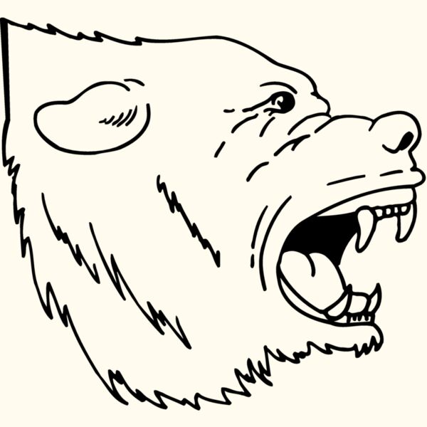 BEAR022 Thumbnail