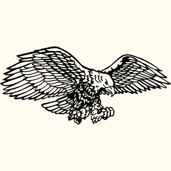 EAGLE003 Thumbnail