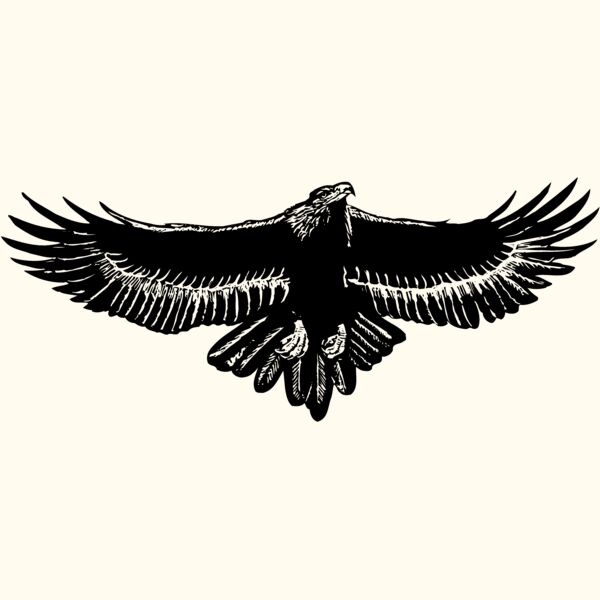 EAGLE010 Thumbnail