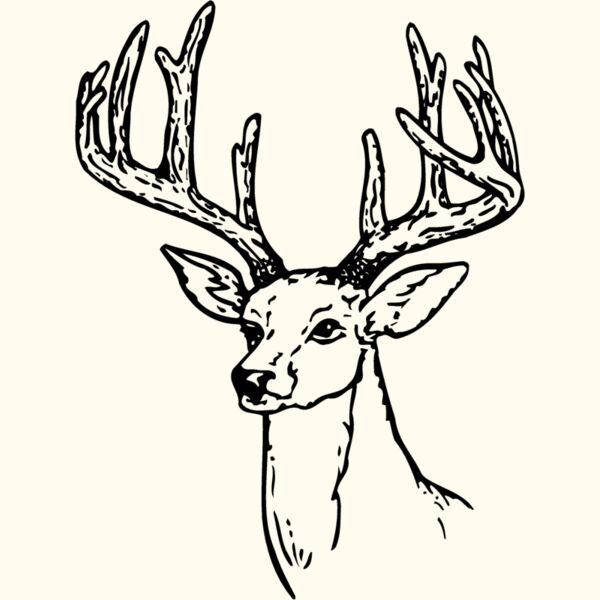DEER009 Thumbnail