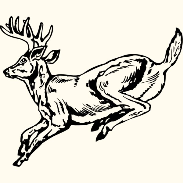 DEER027 Thumbnail