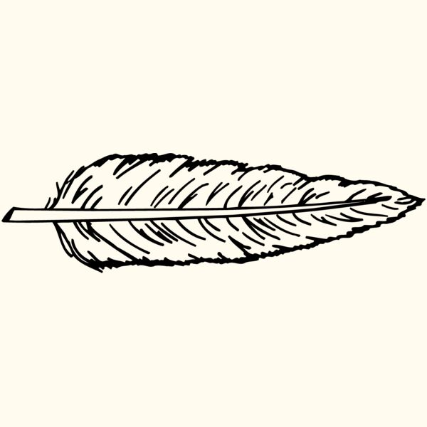 FEATHER Thumbnail