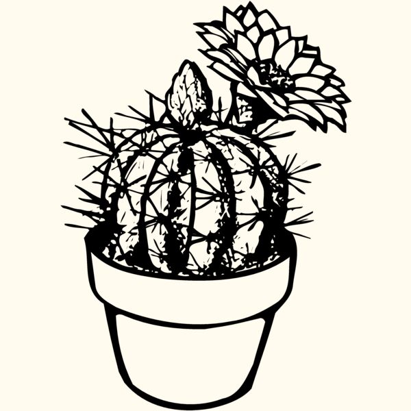 CACTUS01 Thumbnail