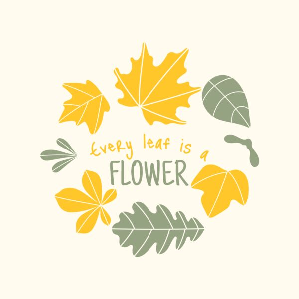 Fall Season 13 Thumbnail