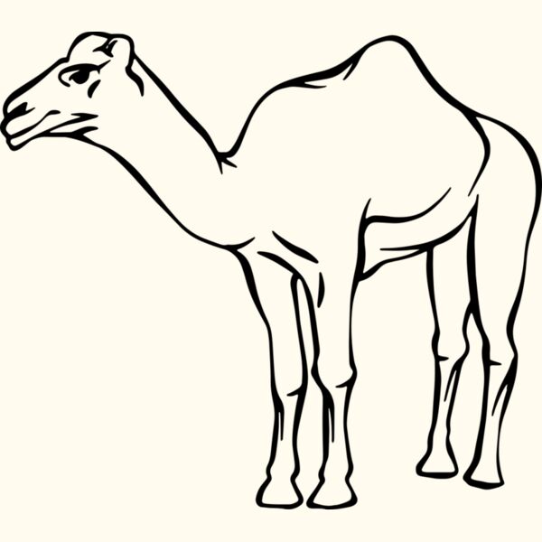 Camel   Clipart 2 Thumbnail