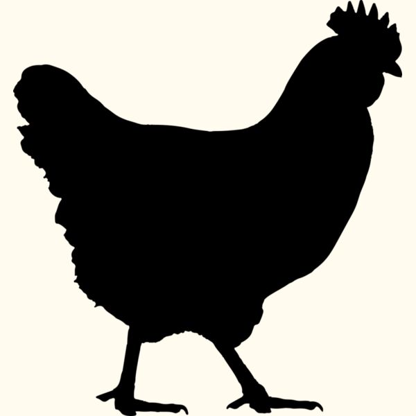 Chicken   Clipart 1 Thumbnail