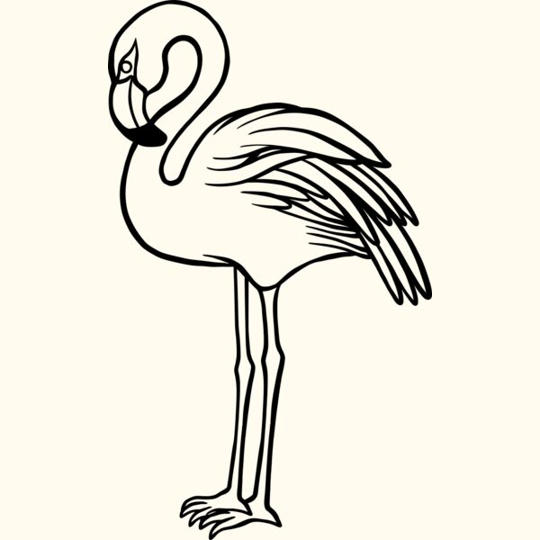 Flamingo   Clipart 1 Thumbnail