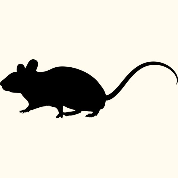 Mouse   Clipart 1 Thumbnail