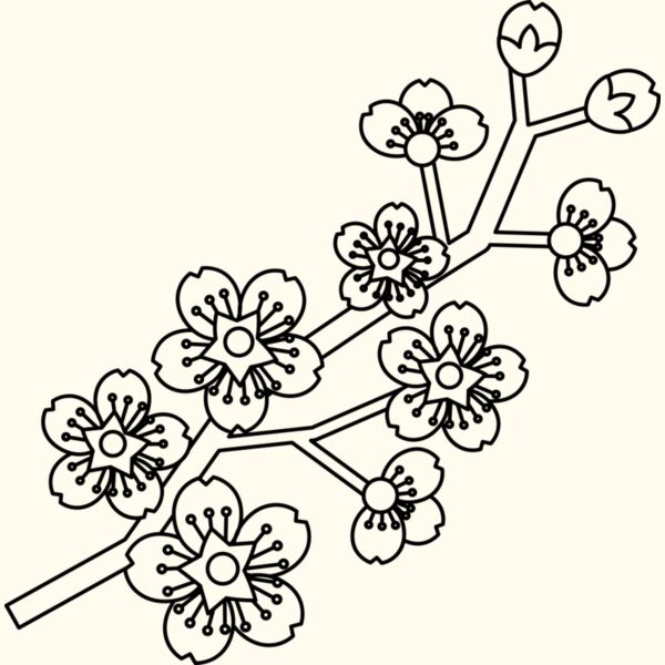Cherry Blossom Branch Thumbnail