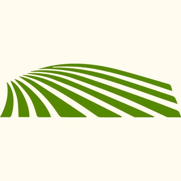 67 Rice Field Thumbnail