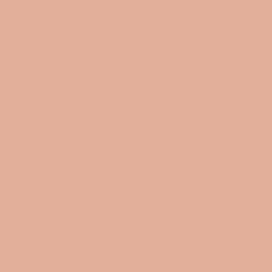 Kai's Peach Farm~ Cropped Tee Design