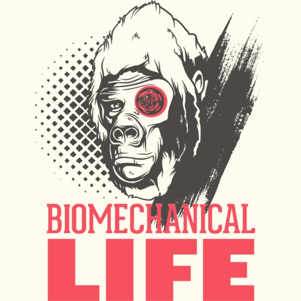 2016 03 14 046 Thumbnail